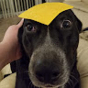 Meet your Posher, Aaron